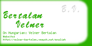 bertalan velner business card